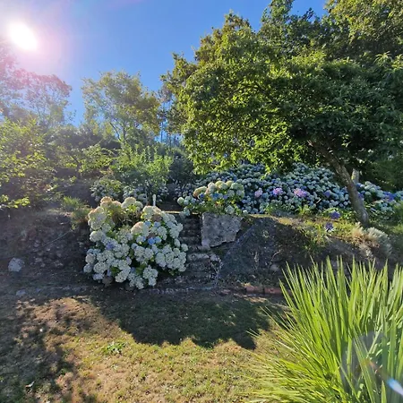 Casa Do Cedro Сasa de vacaciones Paredes de Coura