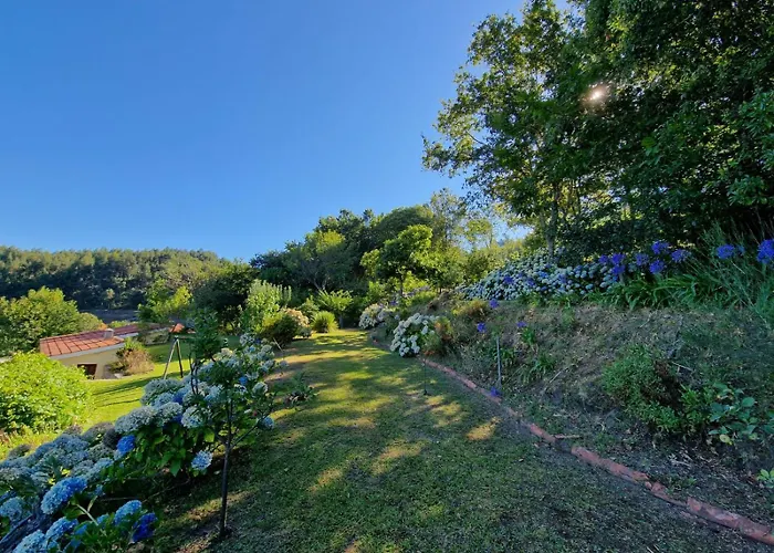 Casa Do Cedro * باريديس دي كورا