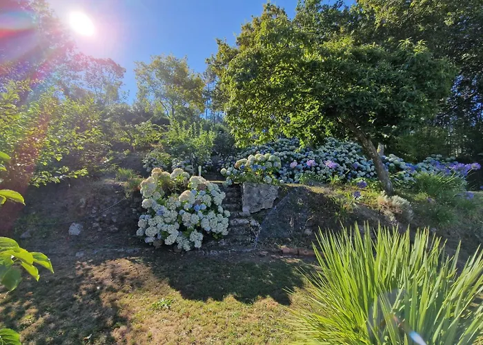 Casa Do Cedro بيت للعطل باريديس دي كورا